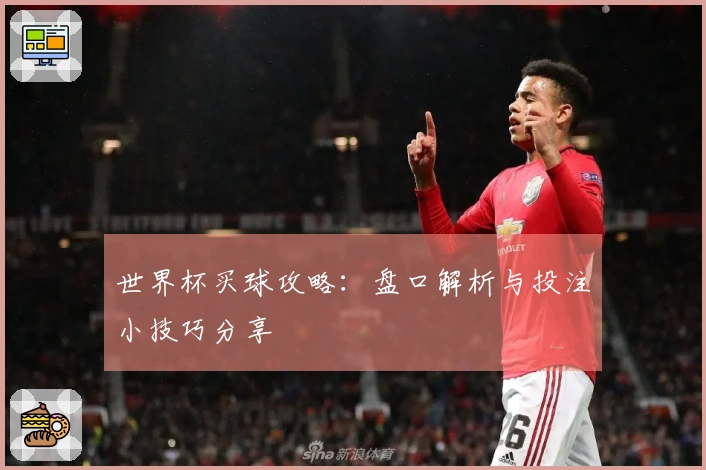 世界杯买球攻略：盘口解析与投注小技巧分享