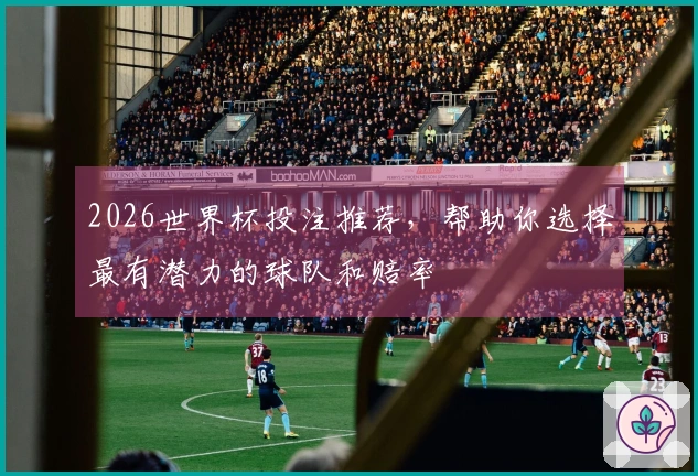 2026世界杯投注推荐，帮助你选择最有潜力的球队和赔率