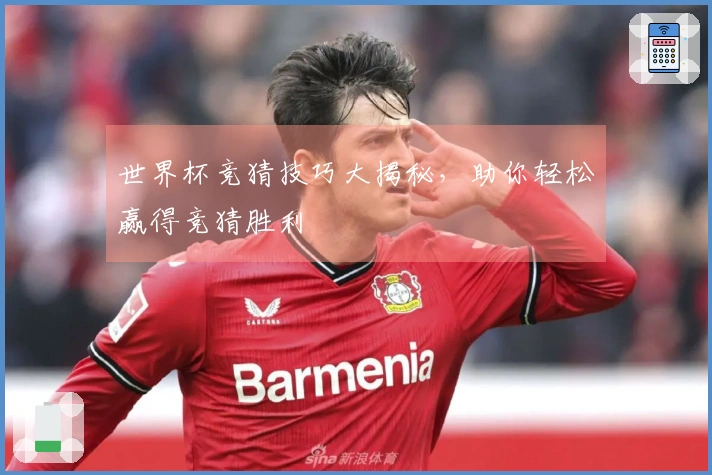 世界杯竞猜技巧大揭秘，助你轻松赢得竞猜胜利