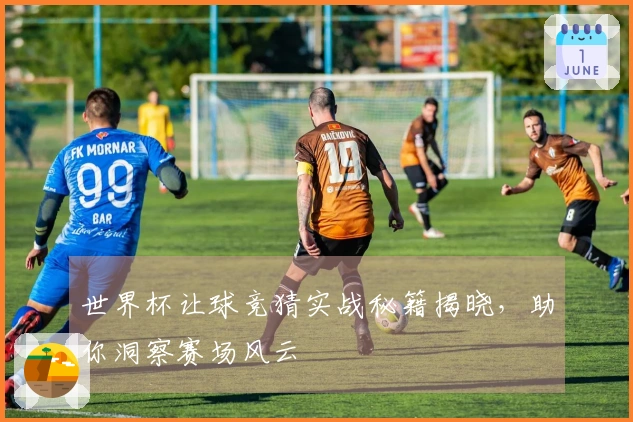 世界杯让球竞猜实战秘籍揭晓，助你洞察赛场风云